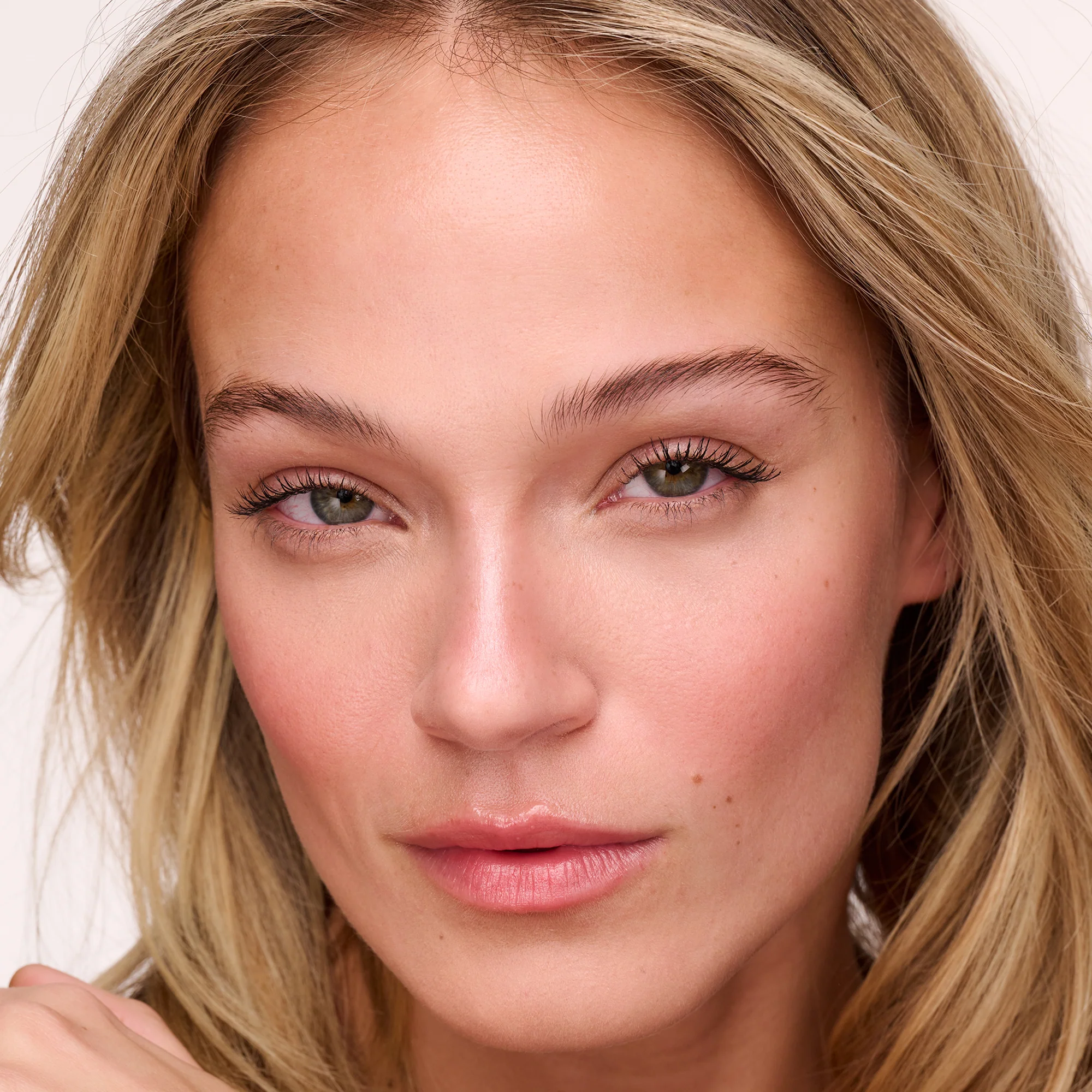 Contour Collections - Image 13
